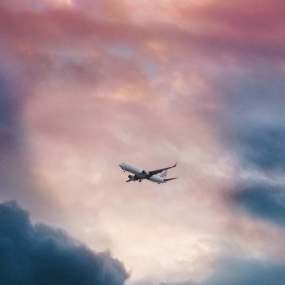 Meet your Posher, Mollie - Picture 1 of 1